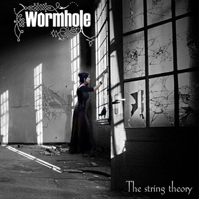 The String Theory