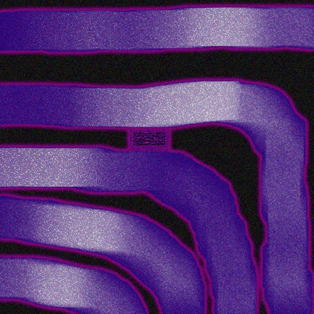 Violeta