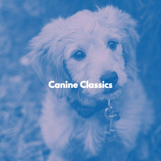 Canine Classics