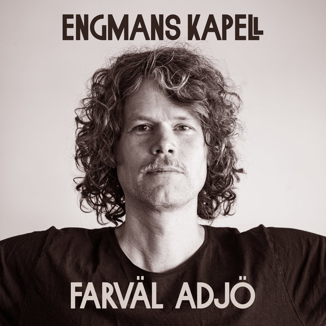 Farväl adjö