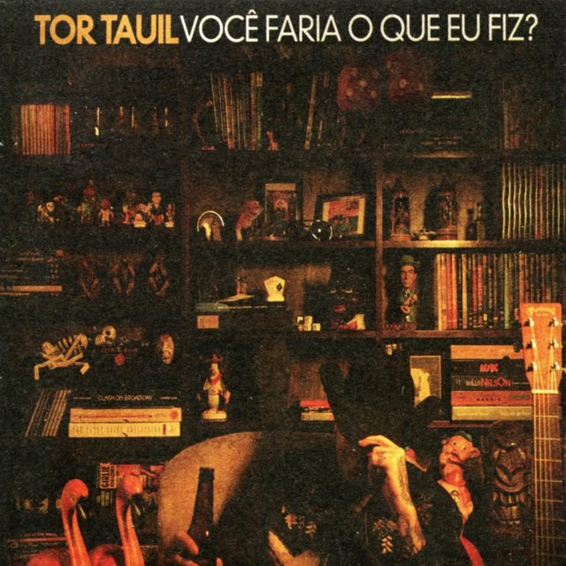 Voce Faria o Que Eu Fiz?