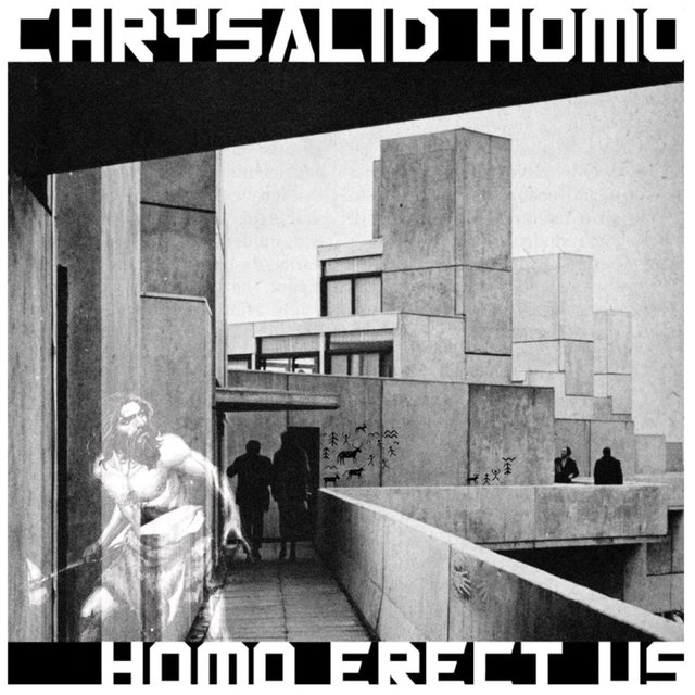 HOMO ERECT US