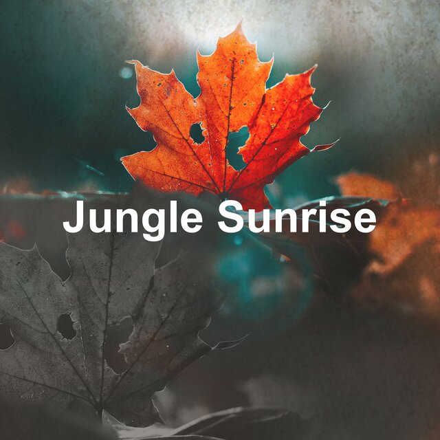 Jungle Sunrise
