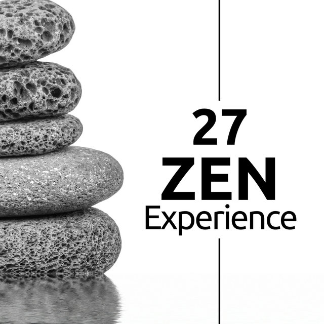 Zen Experience 27