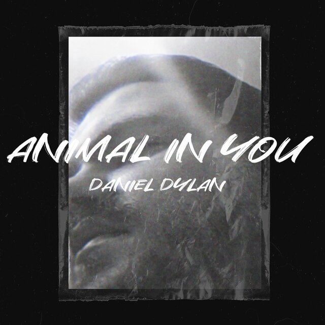 Animal In You