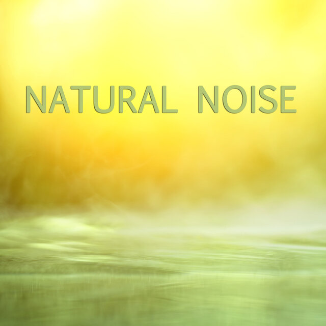 Natural Noise