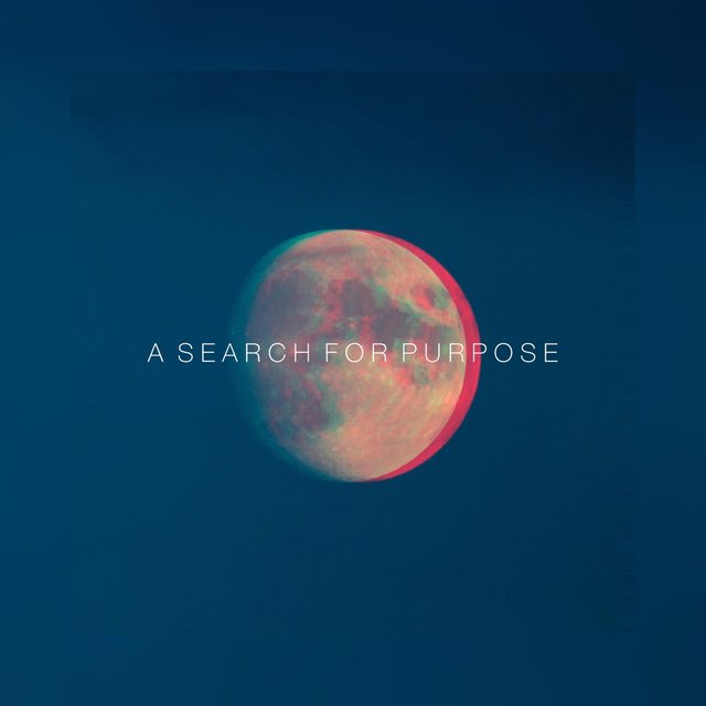 A Search for Purpose