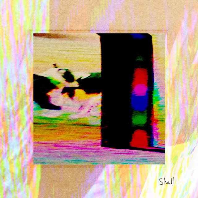 shell