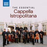 Concerto Grosso in B-Flat Major, Op. 6, No. 11: V. Sarabanda. Largo