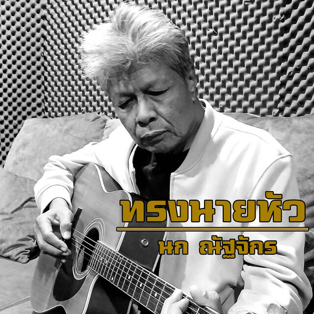 ทรงนายหัว
