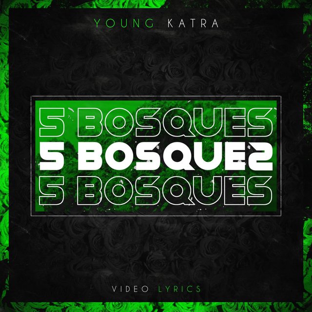 5 Bosques
