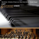 Liszt: Piano Sonata in B Minor, S. 178: III. Andante sostenuto