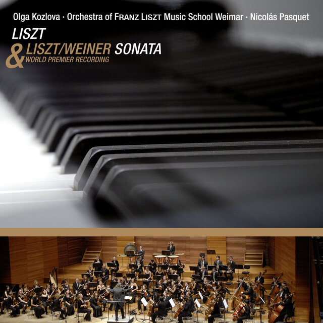 Liszt: Piano Sonata in B Minor, S. 178