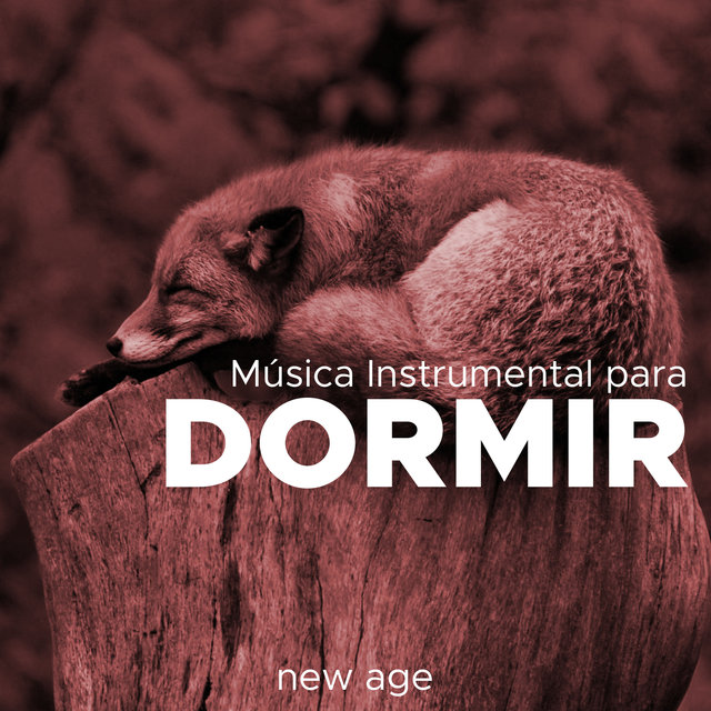 Musica Instrumental para Dormir