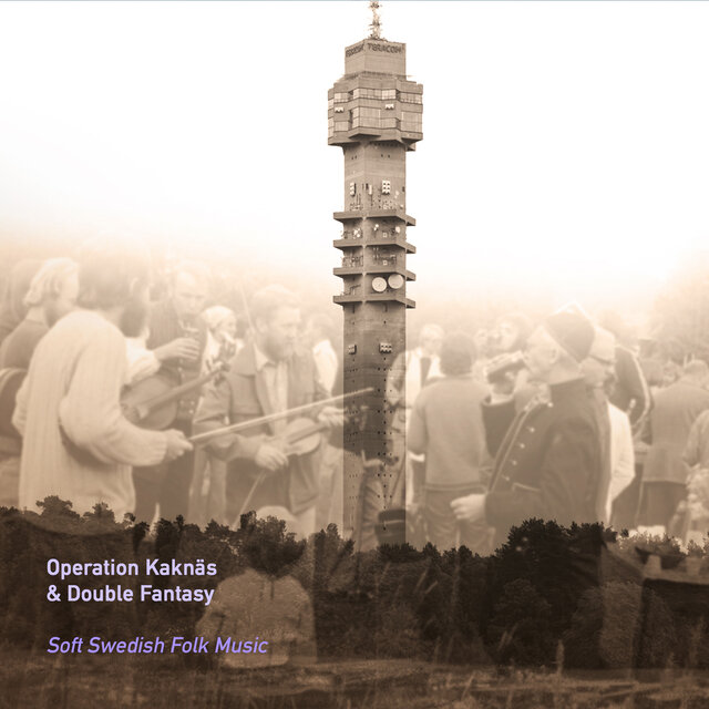 Soft Swedish Folk Music