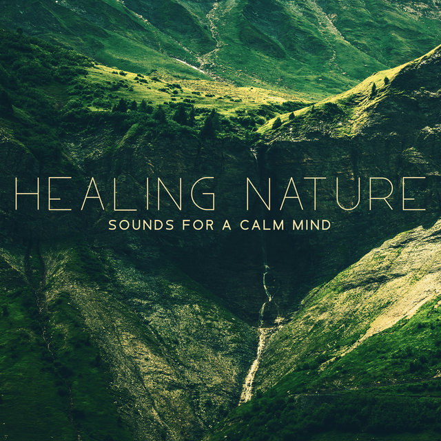 Healing Nature Sounds for a Calm Mind - Soothing Nature, Inner Harmony, Relaxation