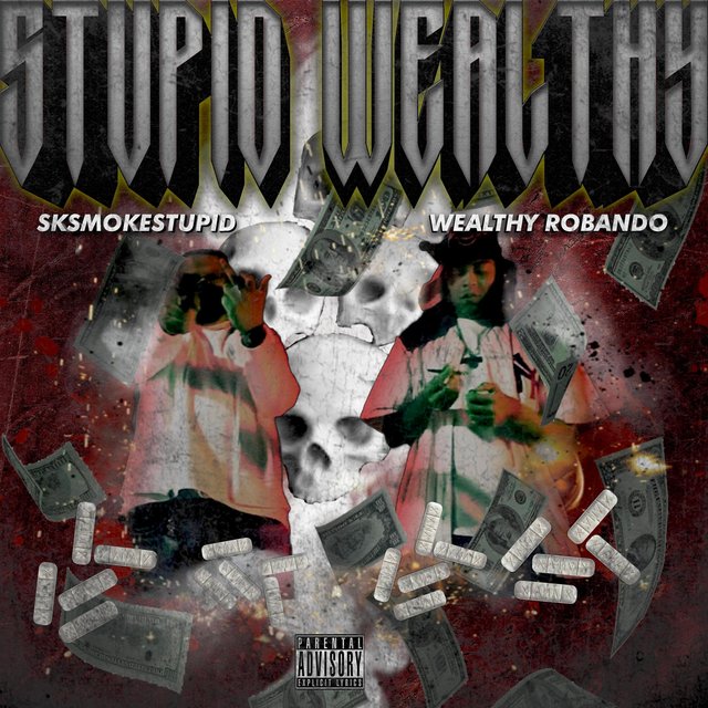 STUPIDWEALTHY