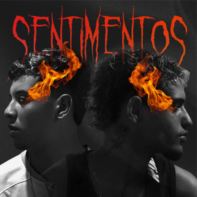 SENTIMENTOS