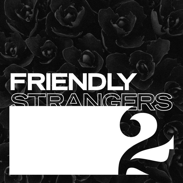 Friendly Strangers 2