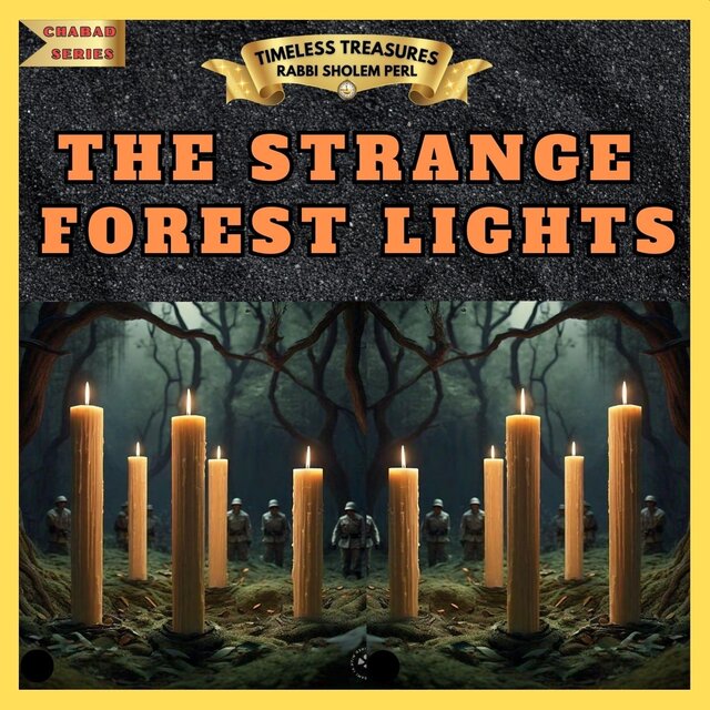 THE STRANGE FOREST LIGHTS