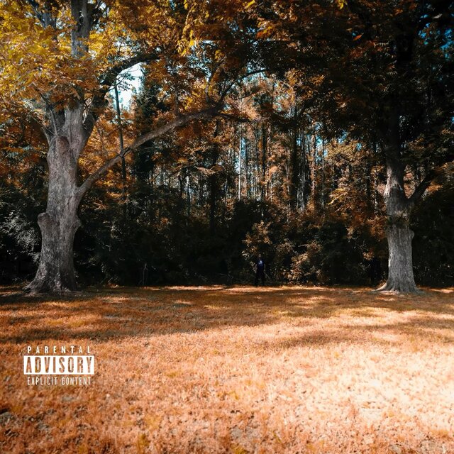 Season By Season(Fall Edition)