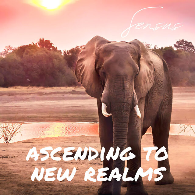 Ascending To New Realms