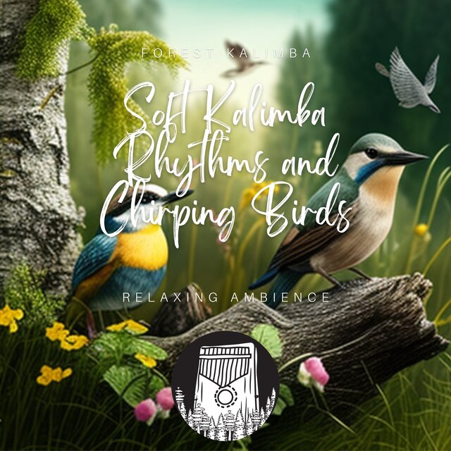 Soft Kalimba Rhythms and Chirping Birds - Relaxing Ambience