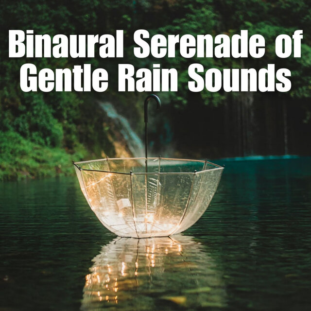 Binaural Serenade of Gentle Rain Sounds