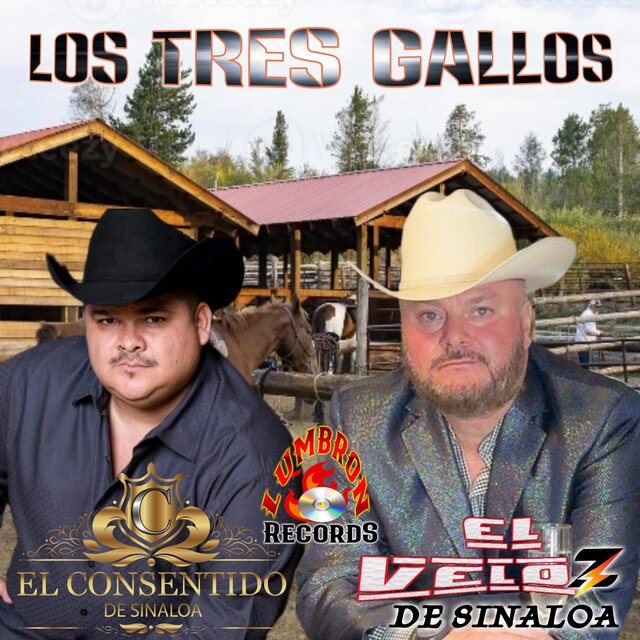 LOS TRES GALLOS (version norteño)