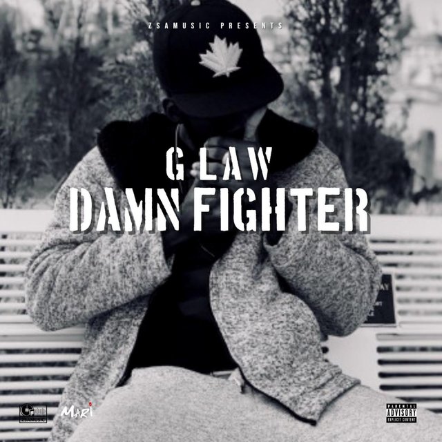 Damn Fighter