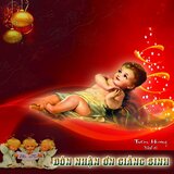 Hãy Đổ Sương Mai