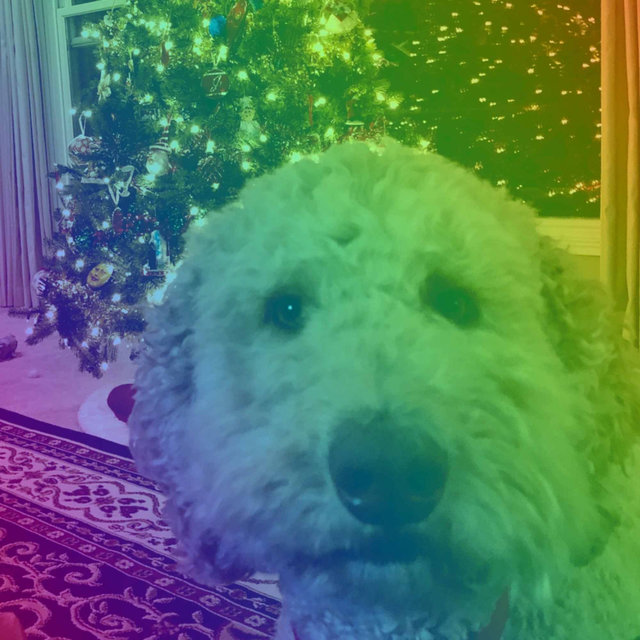 Music for Agile Pups