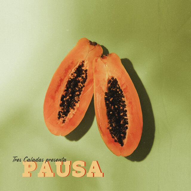Pausa