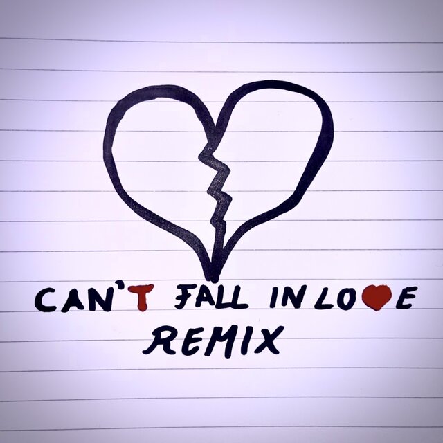 Can’t Fall In Love (Remix)