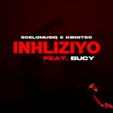 Inhliziyo