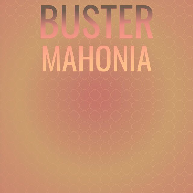 Buster Mahonia