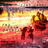 Red Rose Petals