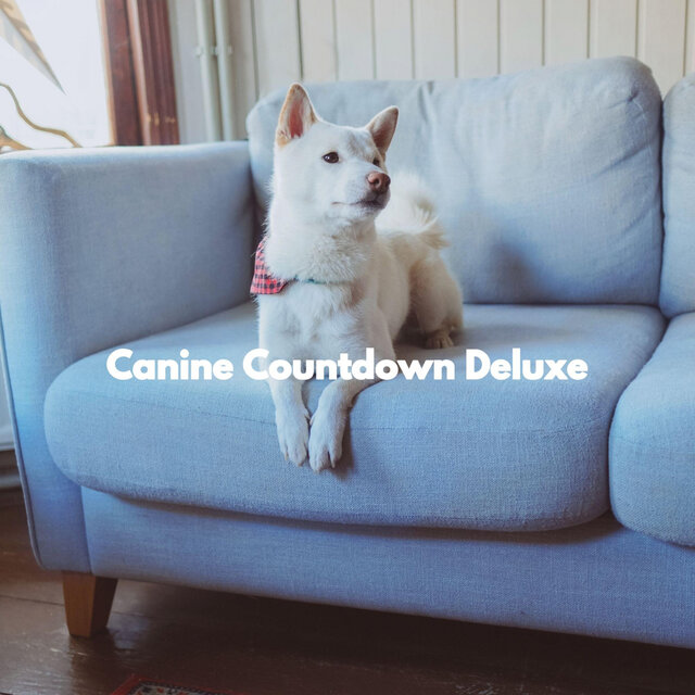Canine Countdown Deluxe