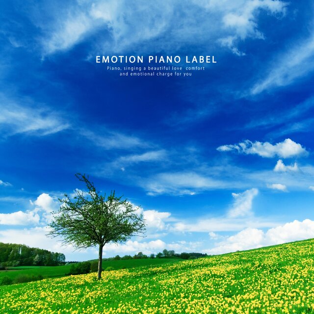 A calm and sensitive piano that helps improve the concentration of study