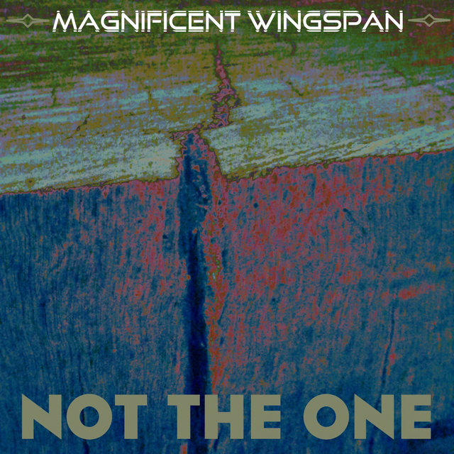 Not The One (feat. DJ Dominic Deadbeat & Ulliversal)