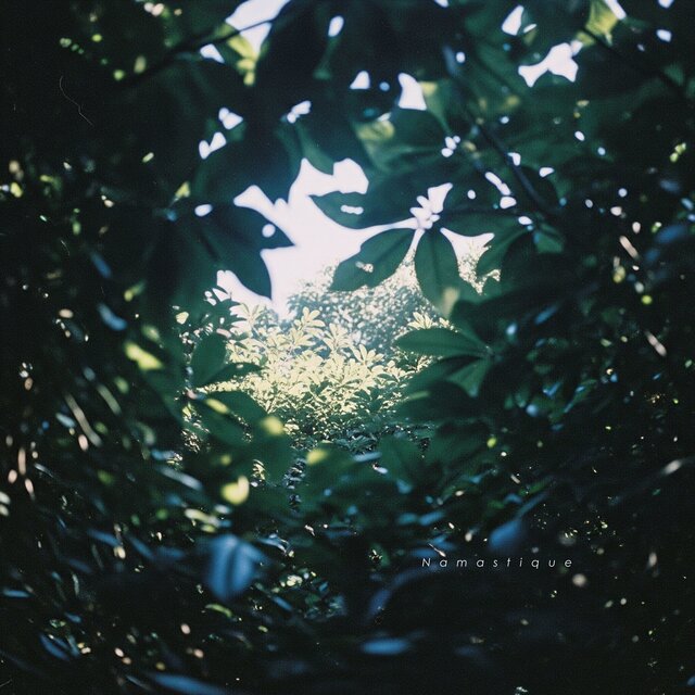OM Through the Leaves