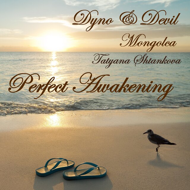 Perfect Awakening