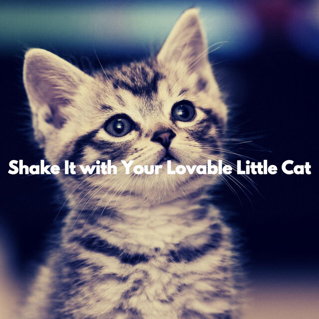 Shake It with Your Lovable Little Cat