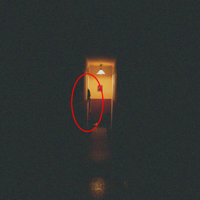 Discorror, Vol. 8