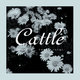 Cover art for album Somehow Hear Songs by Cattle