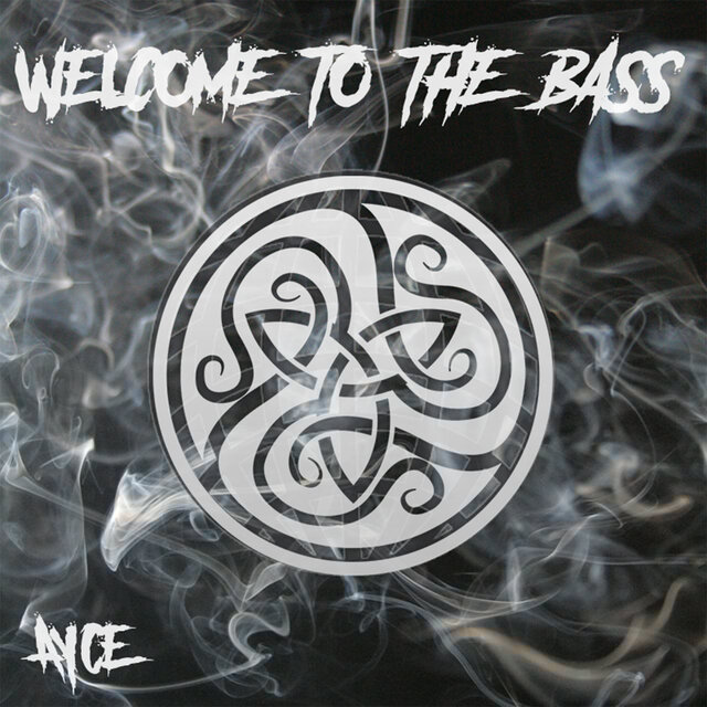 Welcome to the bass