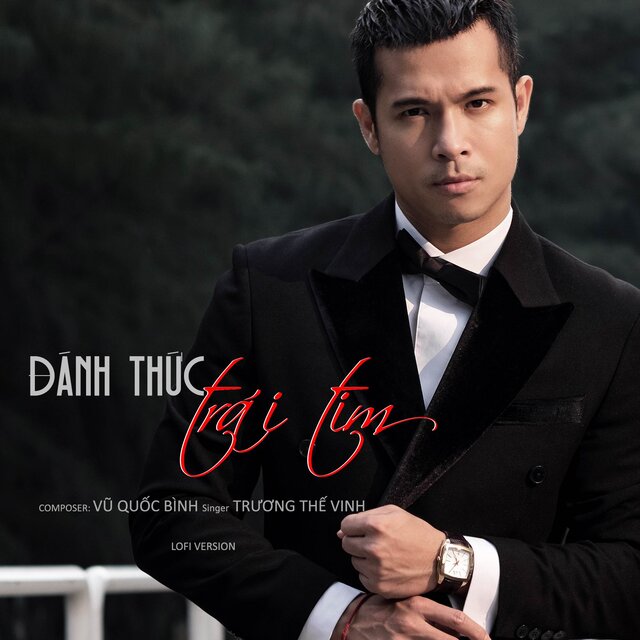 ĐÁNH THỨC TRÁI TIM (Lofi)