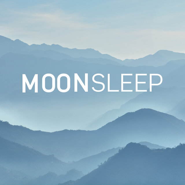 夜晚的自然