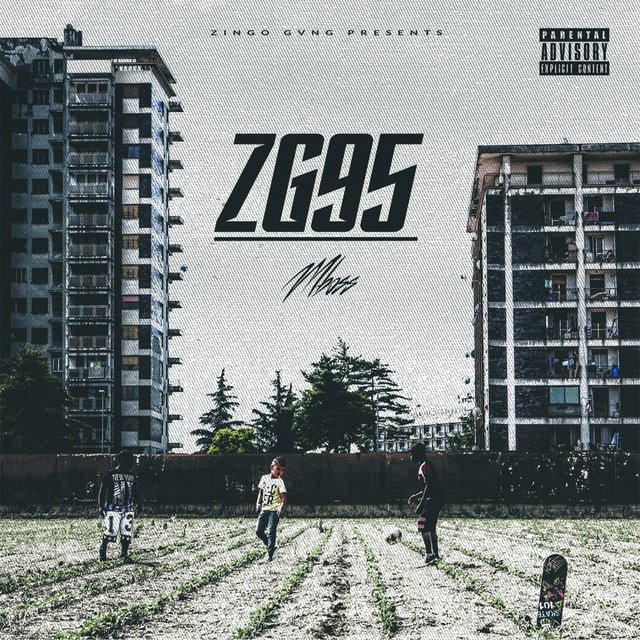 Zg95