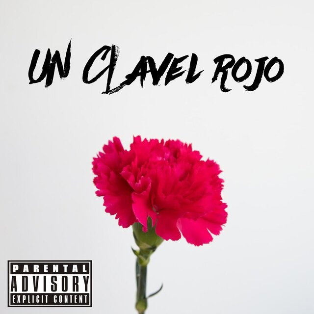 Un Clavel Rojo